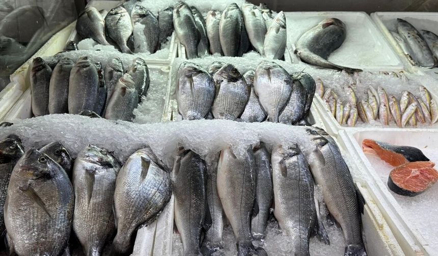 Kahramanmaraş’ta Balık Avlamak Yasaklandı