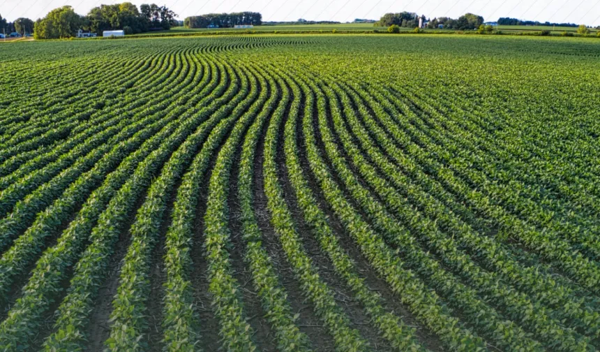 Kahramanmaraş’ta işlenmeyen tarım arazileri için hibe desteği başladı