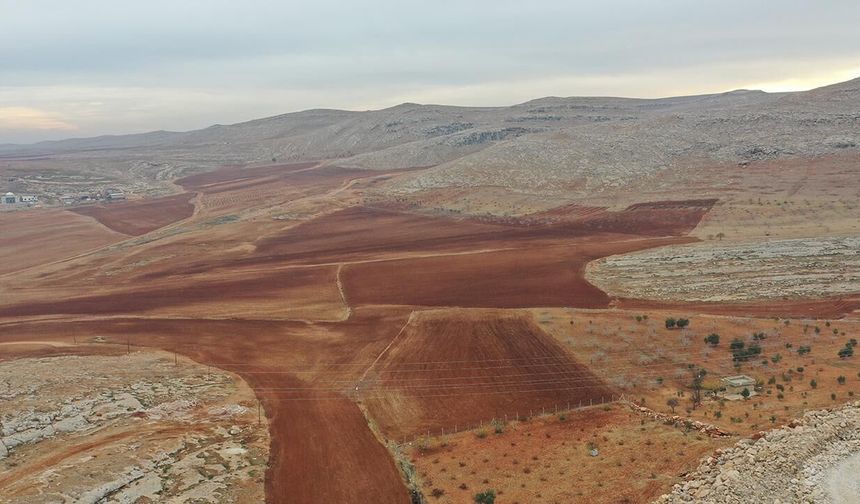 Kahramanmaraş’ta işlenmeyen tarım arazileri için yüzde 75 hibe desteği verilecek