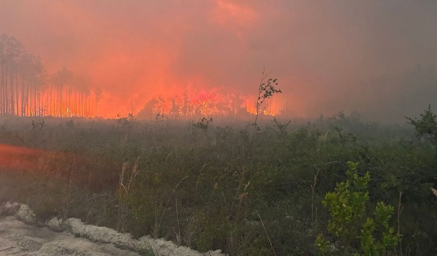ABD Georgia'da yangın! 120'den fazla ev küle döndü