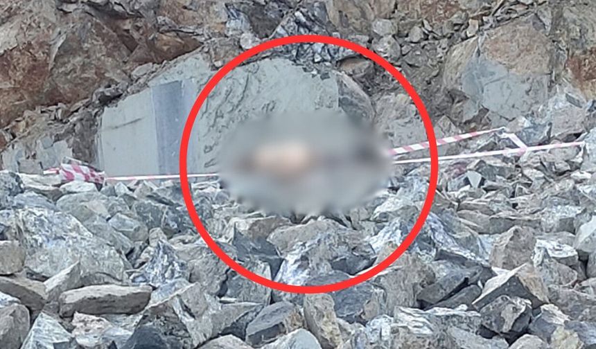 Kahramanmaraş Göksun Çardak’ta iş kazası! Genç işçi hayatını kaybetti