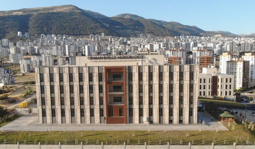 Kahramanmaraş Onikişubat'ta orman ürünleri üretimi ve nakliyesi için ihale başlıyor