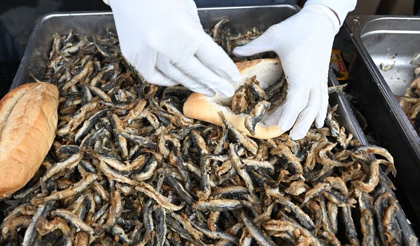 Kahramanmaraş'ta 5 ton hamsi ücretsiz dağıtılacak