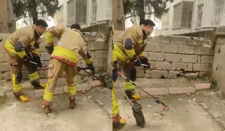 Kahramanmaraş'ta evde yılan çıktı!