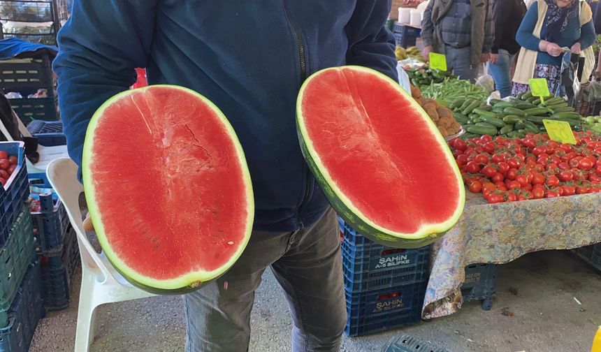 Karpuz Tezgahta Ama Dilimle! Fiyatı Gören Şaşkınlığını Gizleyemedi