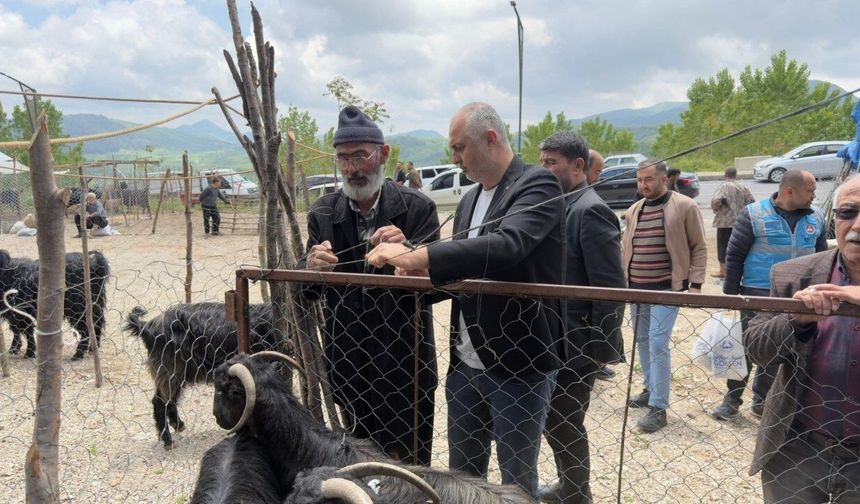 Andırın'da bayram hazırlığı! Başkan Gökşen canlı hayvan pazarında