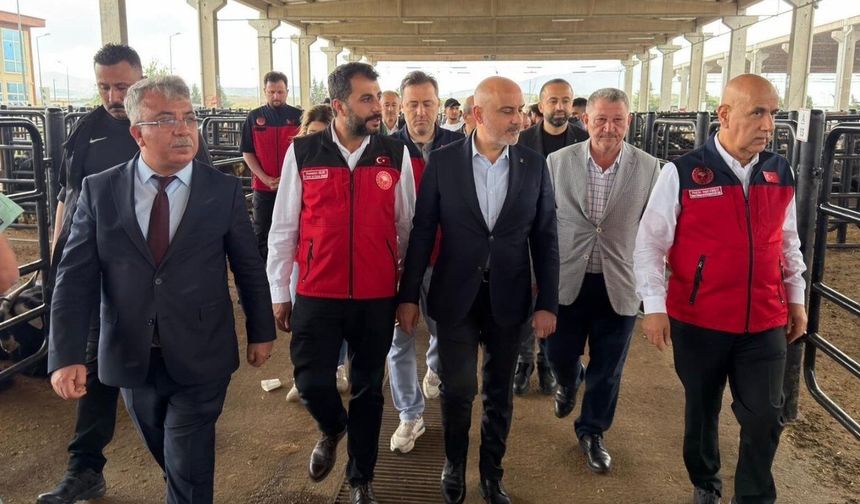 Kahramanmaraş Canlı Hayvan Borsası'nda Kurban Bayramı denetimi