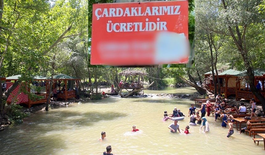 Kahramanmaraş Fırnız’da Bayram Şoku! Çardak Fiyatları Uçtu