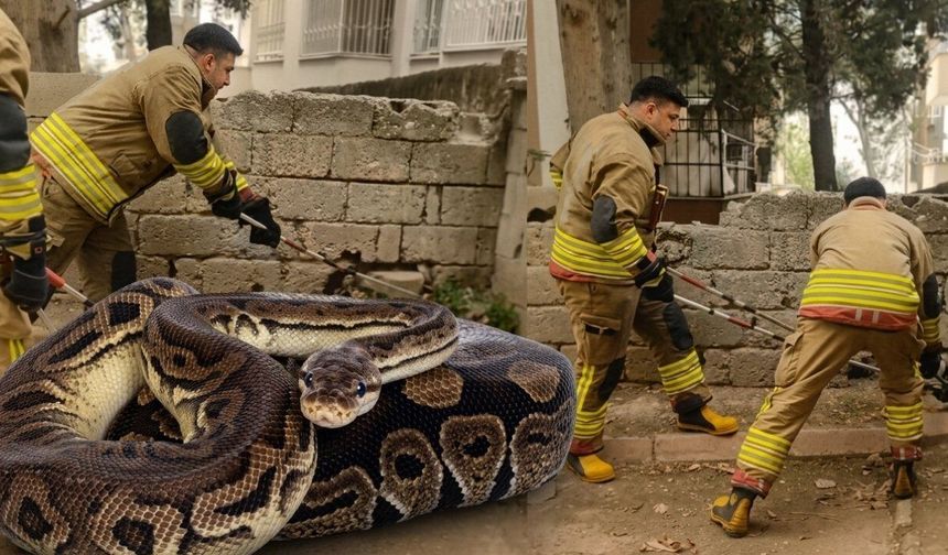 Kahramanmaraş’ta Sıcak Hava Yılanları Ortaya Çıkardı!