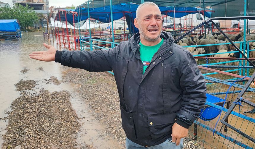 Kurban pazarını sel vurdu, besici gözyaşlarına boğuldu