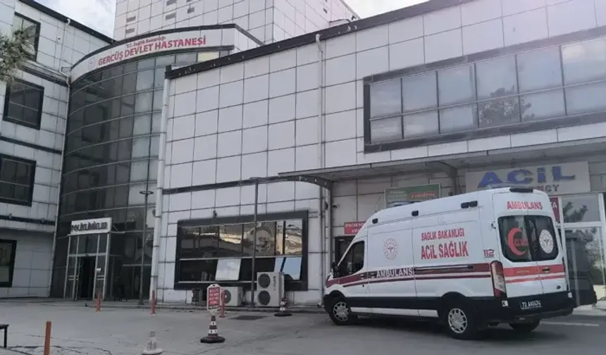 Yediği mantardan zehirlendi
