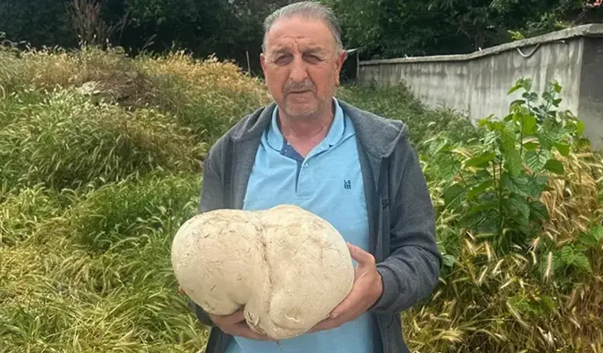 Evinin bahçesinde buldu: Tam 3,5 kilo