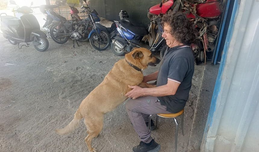 Görme engelli köpeğine 13 yıldır evladı gibi bakıyor