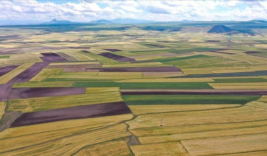 Kahramanmaraş Dahil 45 İlde Dev Arsa Satışı: Yatırımcılar Sıraya Girdi