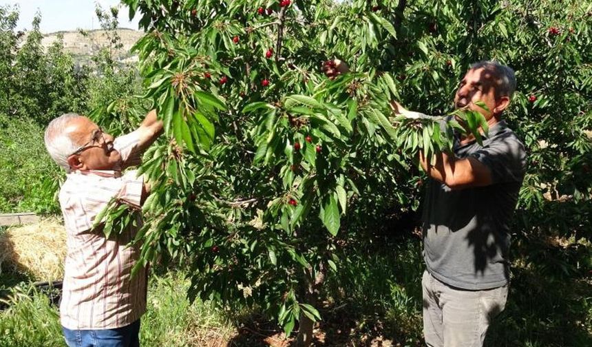 Kahramanmaraş’ın Komşu Şehri 3 Bin TL Yevmiye ile İşçi Arıyor