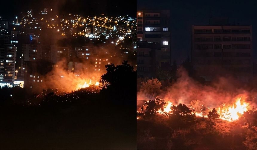 Kahramanmaraş’ta ağaçlık alanda yangın çıktı