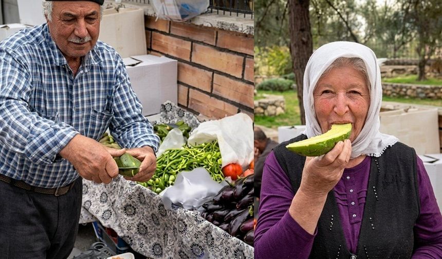 Kahramanmaraş’ta Ata Tohumu Salatalık Şaşırttı: “Biz Ne Yiyoruz?”