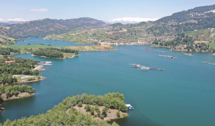 Yağışlar bereket getirdi: Kahramanmaraş'ta barajlar doldu