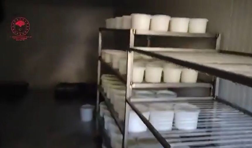 Kahramanmaraş’ta kaçak yoğurt üretimine baskın: Sağlıksız ürünler imha edildi