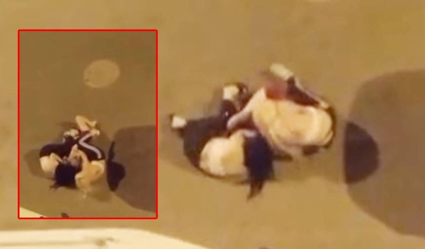 Kadınlar saç saça kavga etti