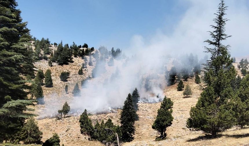 Kahramanmaraş Göksun'da orman yangını
