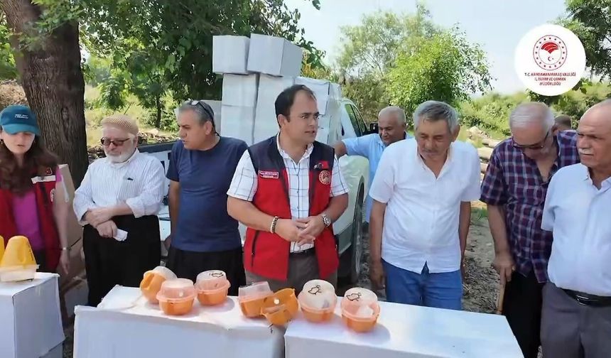 Kahramanmaraş İl Tarım Müdürlüğü'nden Andırın'da tuzak desteği