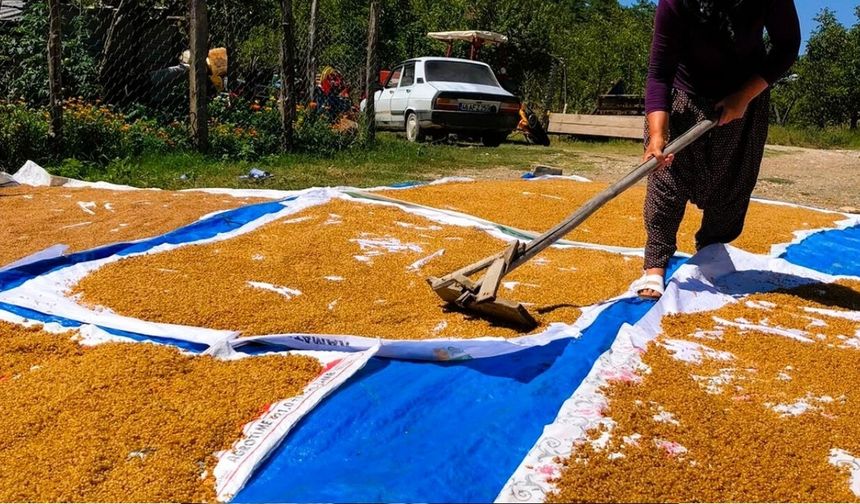 Kahramanmaraş'ta Asırlık Gelenek Sürüyor! Kışlık Hazırlıklar Başladı