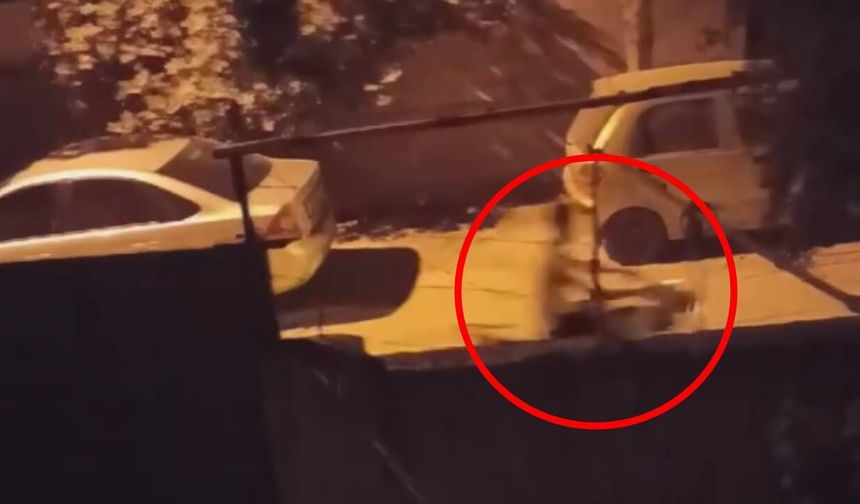 Kahramanmaraş'ta gece yarısı egzoz sesleri mahalleliyi ayağa kaldırdı