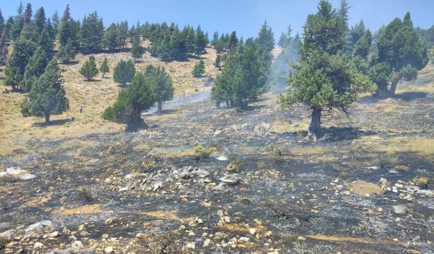 Kahramanmaraş'ta iki orman yangını kontrol altında