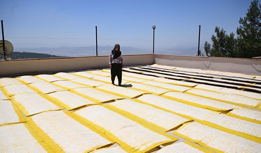Kahramanmaraş'ta Kadın Girişimci Azmiyle Başardı! Seri Üretime Geçti