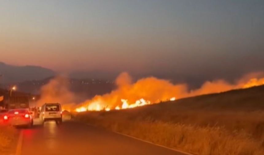 Kahramanmaraş'ta Otluk Alan Yangını! Çiftçiler Alevlerin Önünü Kesti