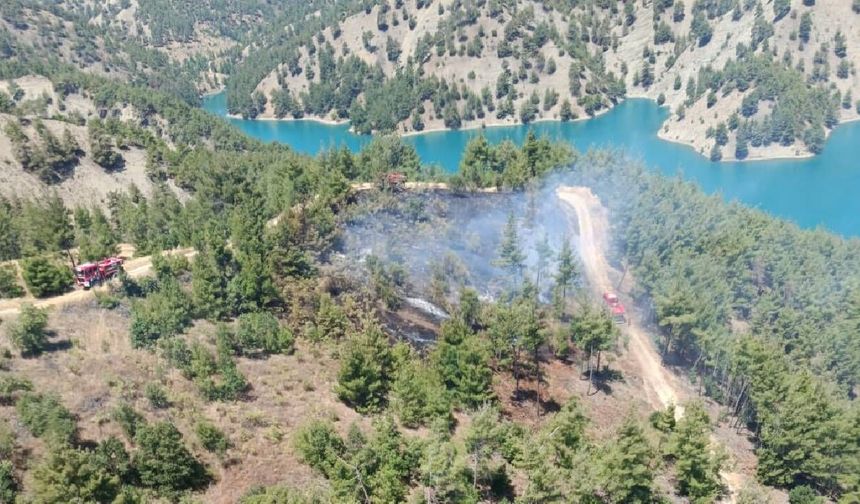 Kahramanmaraş'ta orman yangını: Havadan ve karadan müdahale edildi