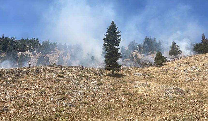 Kahramanmaraş'ta Orman Yangınına Havadan ve Karadan Müdahale