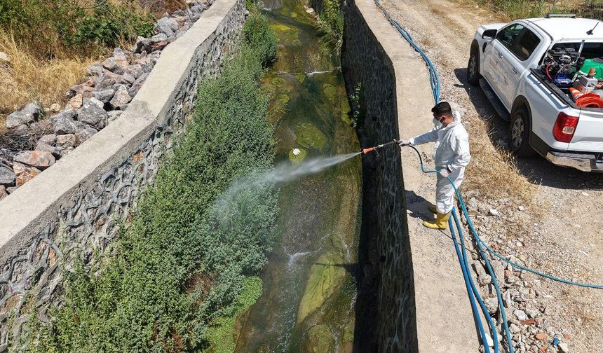 Kahramanmaraş’ta sivrisineklere karşı etkin mücadele
