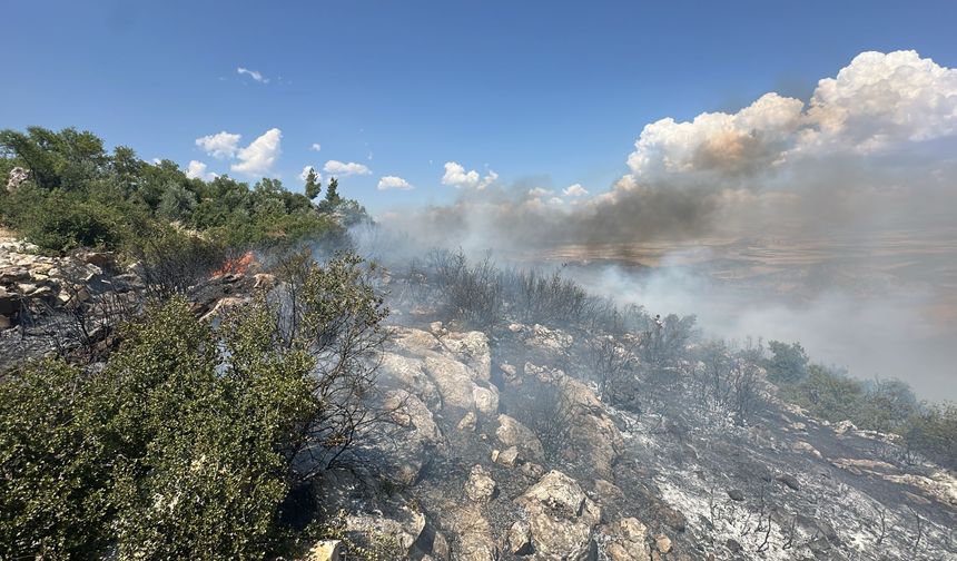 Kahramanmaraş Orman Bölge Müdürlüğü'nden Yangın Açıklaması
