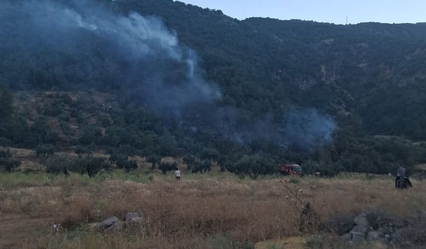 Kahramanmaraş Orman Bölge Müdürlüğünden İslahiye yangını açıklaması