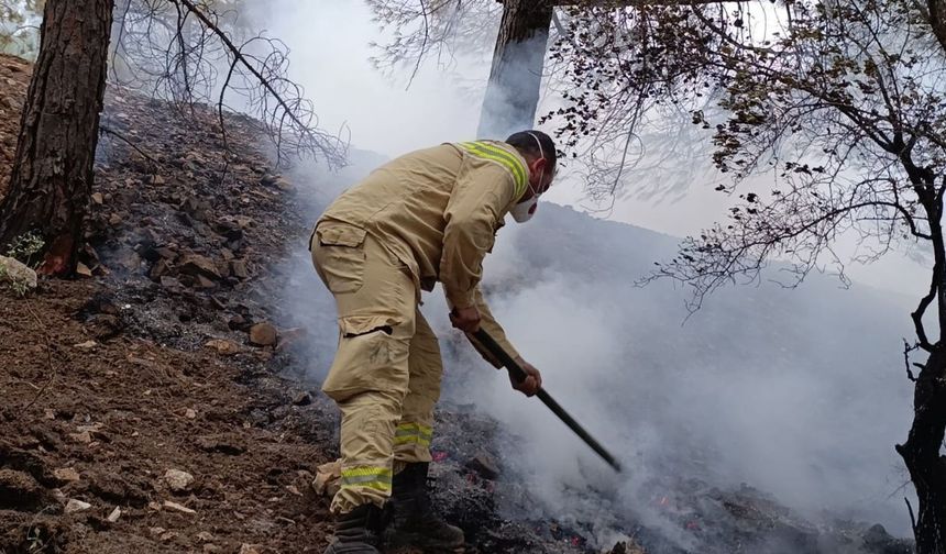Kahramanmaraş Ahır Dağı’ndaki orman yangınına müdahale sürüyor