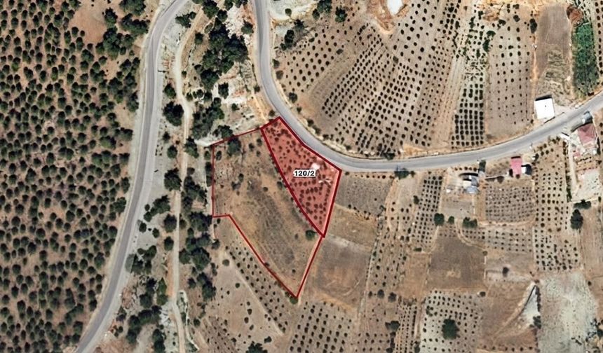 Kahramanmaraş İcra Dairesinden 1 milyon 101 bin TLye satılık zeytinlik
