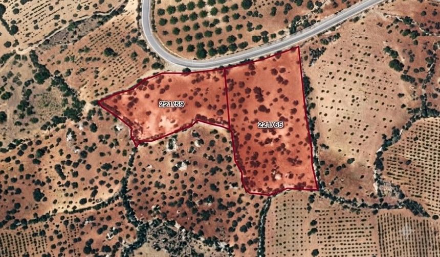 Kahramanmaraş'ta 7 milyon liralık dev fıstık arazileri icradan yarı fiyatına gidiyor!