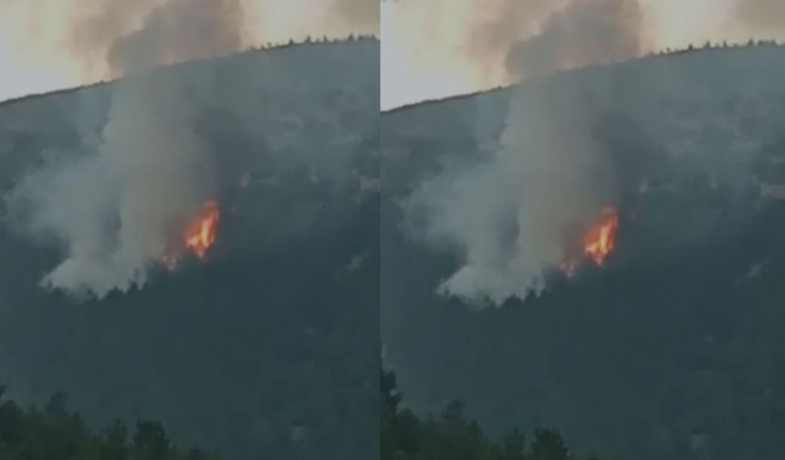 Kahramanmaraş’ta Ahır Dağı yanıyor! Yıldırım yangına neden oldu