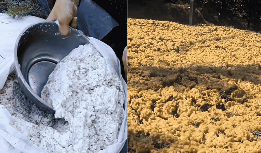 Kahramanmaraş'ta geleneksel tarhana mesaisi başladı!
