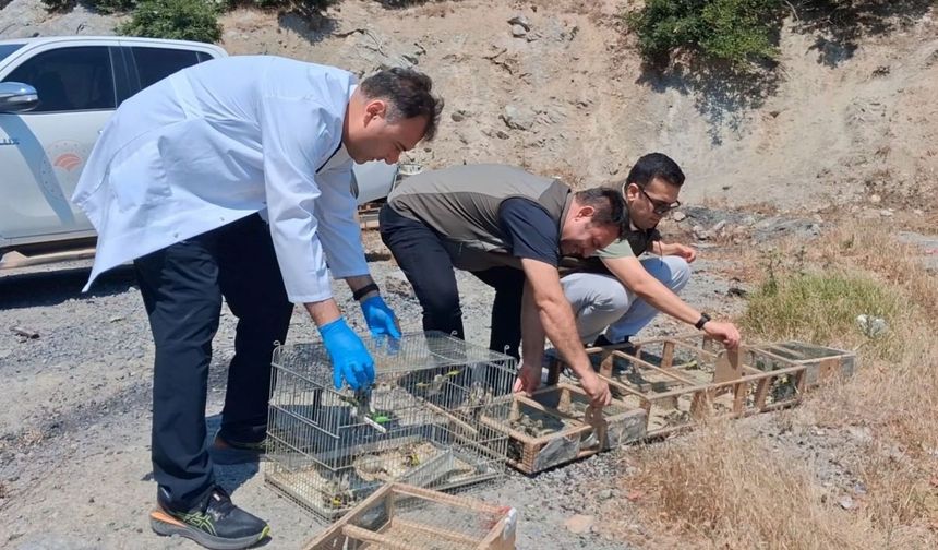 Kahramanmaraş’ta kaçak avcılara ağır ceza 4 kişiye 2 milyon lirayı aşkın ceza