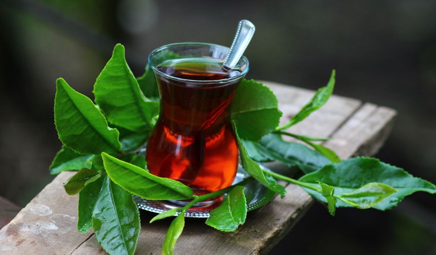 Yıllardır bilinmeyen çay hilesi! Tadını değiştiren basit yöntem!