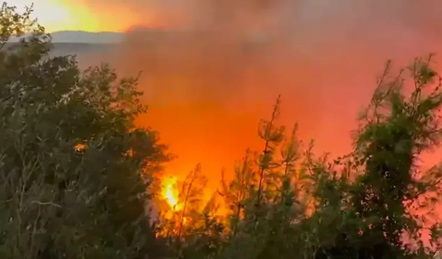 Kahramanmaraş'ın komşu ilinde 2 ayrı noktada orman yangını