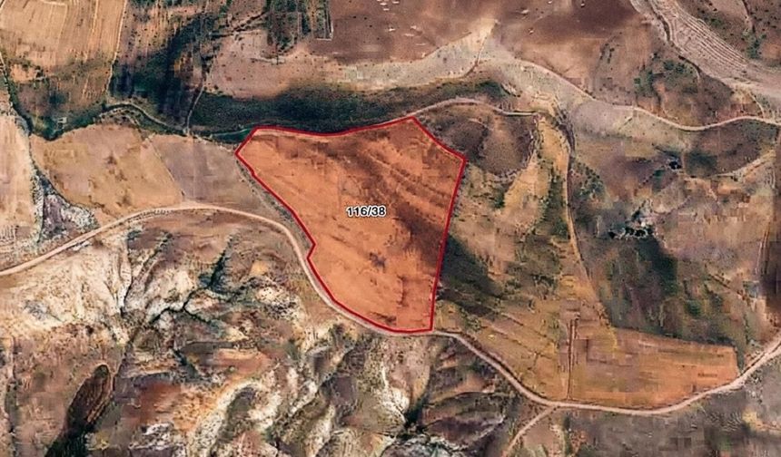 Kahramanmaraş'ta 3 milyon TL'yi aşan değere sahip tarla mahkemeden satışta!