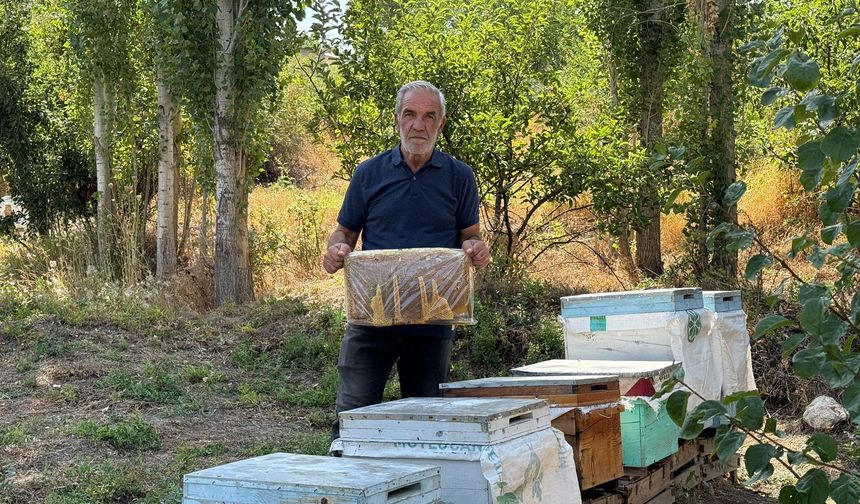 Kahramanmaraş’ta bal peteğinde şaşırtan görüntü: “Allah” yazısını andırıyor