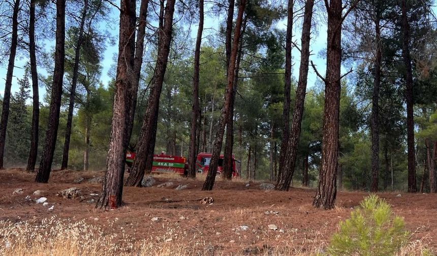 Kahramanmaraş’ta orman yangını büyümeden söndürüldü