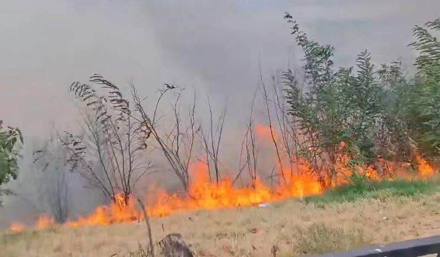 Kahramanmaraş’ta ormanlık alanda korkutan yangın!