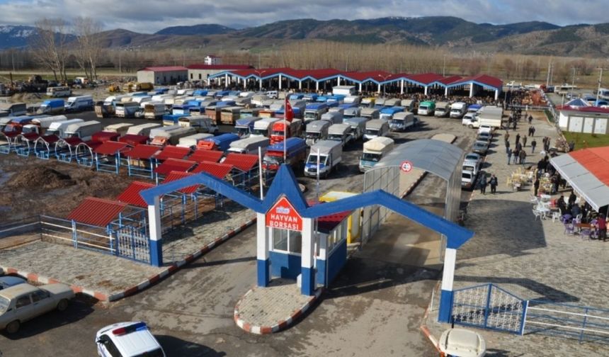 Kahramanmaraş’ta şap tedbiri hayvan borsası kapatıldı!