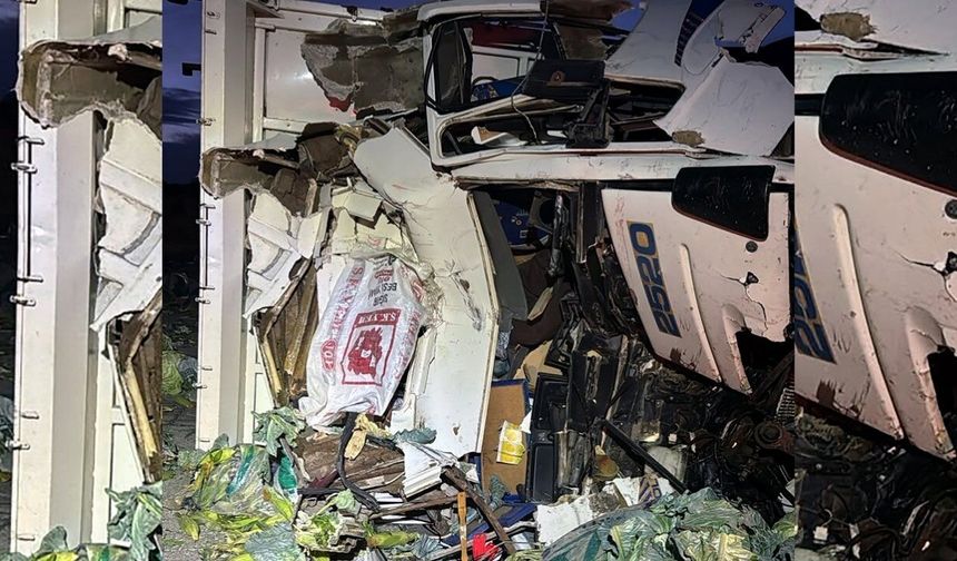 Mersin'de TIR'a çarpan sebze yüklü kamyonun şoförü öldü
